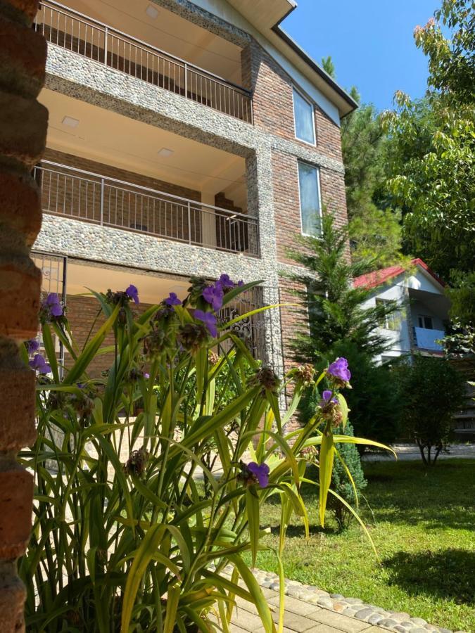 Guest House Shekvetili Εξωτερικό φωτογραφία