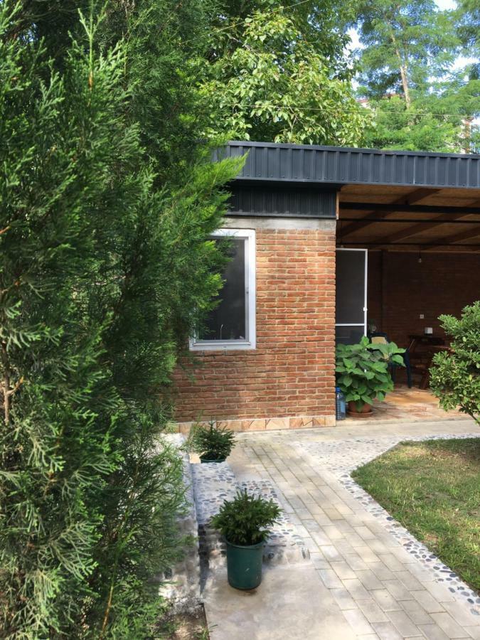 Guest House Shekvetili Εξωτερικό φωτογραφία