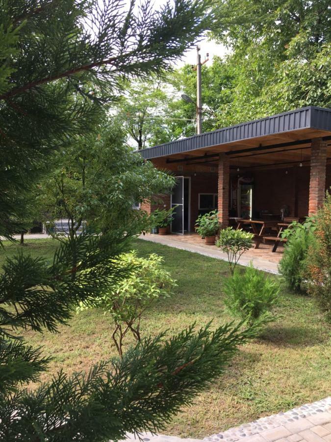 Guest House Shekvetili Εξωτερικό φωτογραφία
