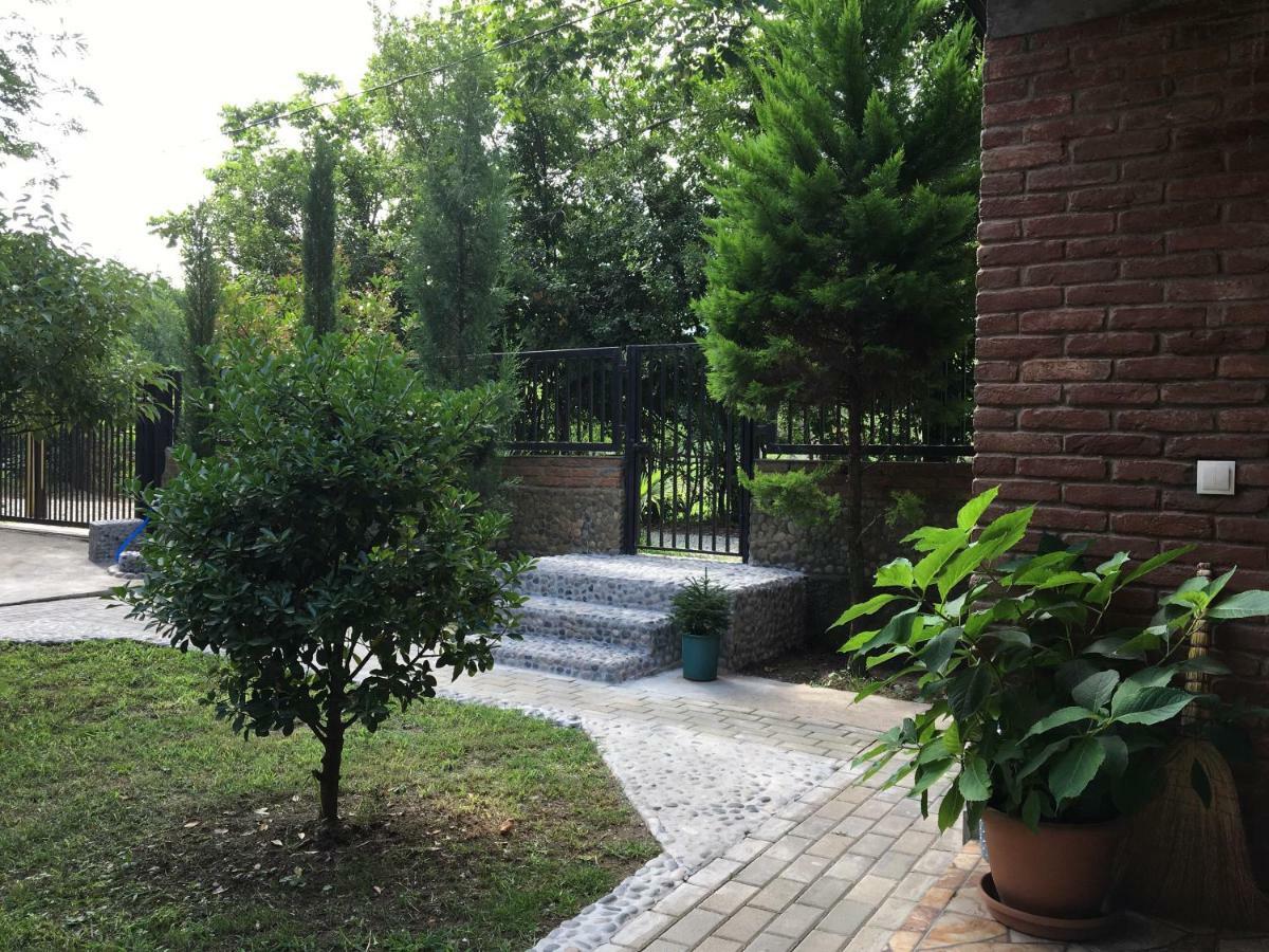 Guest House Shekvetili Εξωτερικό φωτογραφία